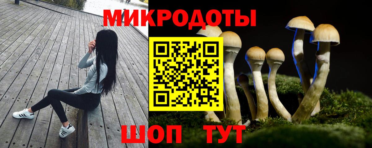 Галлюциногенные грибы прущие грибы Усолье-Сибирское